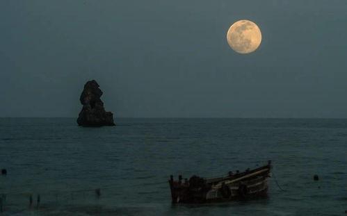 抬头望月吃瓜的图片,一场别开生面的望月盛宴  第3张