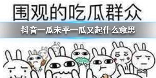 吃瓜抖音大全,揭秘热门事件背后的真相与笑料 第3张 吃瓜抖音大全,揭秘热门事件背后的真相与笑料 第3张