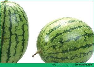 吃瓜会过敏  第1张