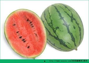吃瓜会过敏  第3张