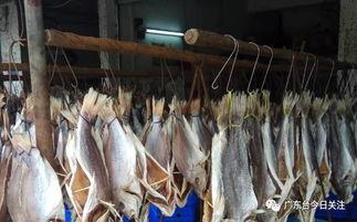 咸鱼在末世吃瓜 第3张 咸鱼在末世吃瓜 第3张