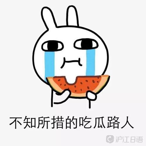 吃瓜深井冰,网络热词背后的文化现象 第1张 吃瓜深井冰,网络热词背后的文化现象 第1张