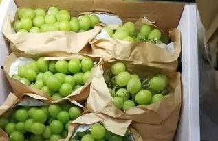 柳州1中吃瓜 第3张 柳州1中吃瓜 第3张