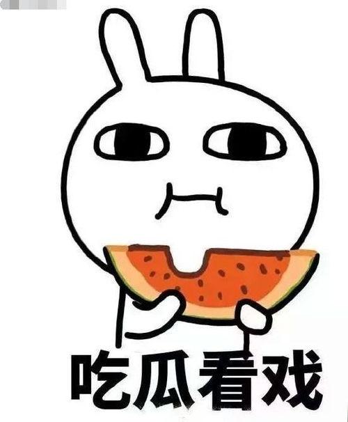 吃瓜预备役  第1张