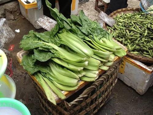 校园集市吃瓜,热闹非凡的吃瓜盛宴  第1张