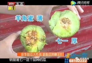 万能在线吃瓜  第1张