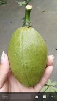 万能在线吃瓜  第3张