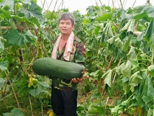 吃瓜劲爆文,吃瓜群众热议的劲爆事件大汇总 第3张 吃瓜劲爆文,吃瓜群众热议的劲爆事件大汇总 第3张