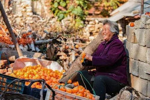 沂南吃瓜事件真相  第1张