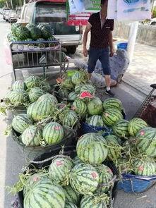 沂南吃瓜事件真相  第2张