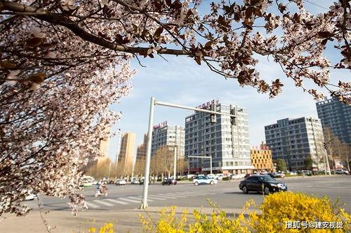 安阳学院最新吃瓜,揭秘校园风云背后的真相  第2张