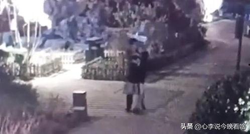 离奇吃瓜广告视频 第2张 离奇吃瓜广告视频 第2张