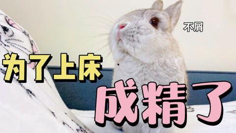 对手戏 吃瓜兔,娱乐圈对手戏背后的精彩故事 第1张 对手戏 吃瓜兔,娱乐圈对手戏背后的精彩故事 第1张