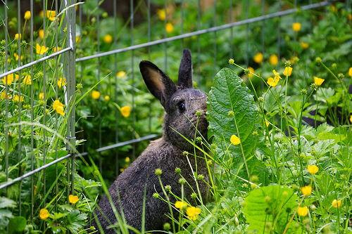 对手戏 吃瓜兔,娱乐圈对手戏背后的精彩故事 第2张 对手戏 吃瓜兔,娱乐圈对手戏背后的精彩故事 第2张