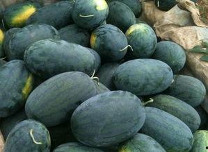 日照莒县吃瓜事件,一场网络热议背后的真相与反思 第1张 日照莒县吃瓜事件,一场网络热议背后的真相与反思 第1张