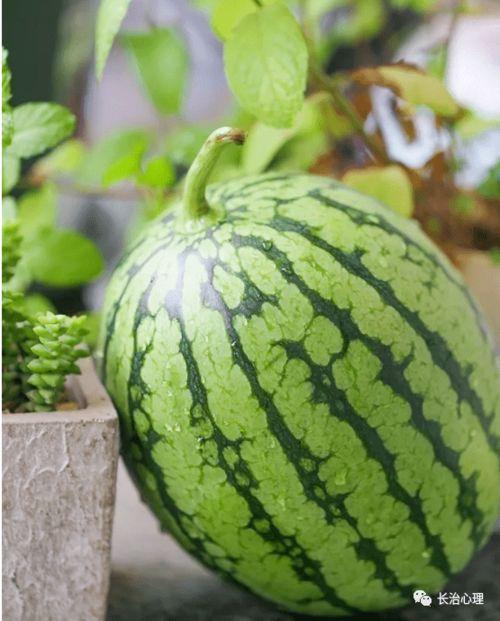 吃瓜的心理变化,吃瓜群众的内心演变历程  第2张