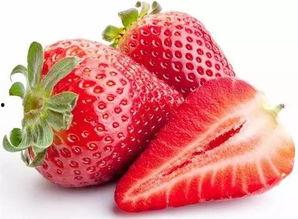 哈尔滨吃瓜爆料,揭秘冰城街头那些不为人知的秘密 第1张 哈尔滨吃瓜爆料,揭秘冰城街头那些不为人知的秘密 第1张