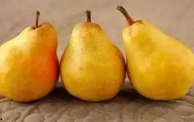 吃瓜系统姜,姜的趣味与智慧  第2张