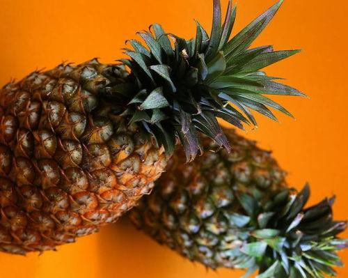 dy菠萝吃瓜,揭秘网络红人的瓜田奇遇 第3张 dy菠萝吃瓜,揭秘网络红人的瓜田奇遇 第3张