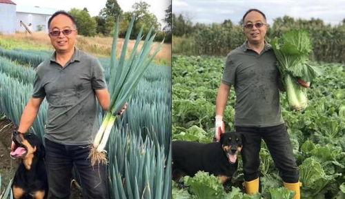 向前农场吃瓜大队,吃瓜大队的欢乐田园生活 第2张 向前农场吃瓜大队,吃瓜大队的欢乐田园生活 第2张