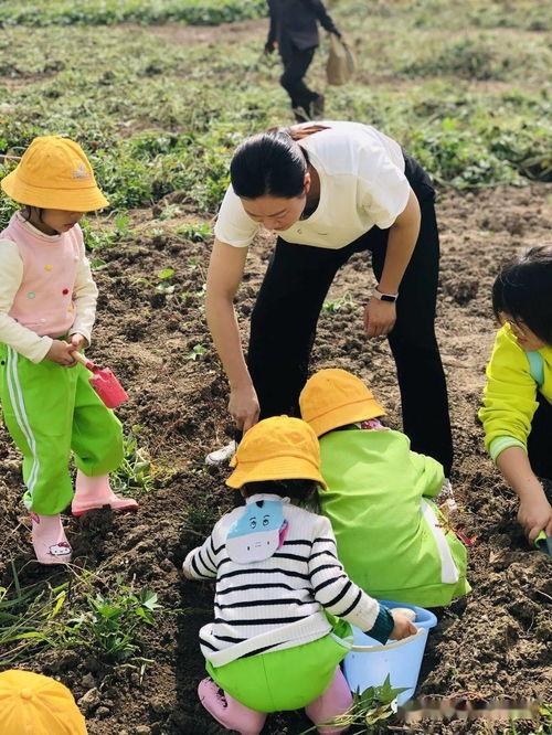 向前农场吃瓜大队,吃瓜大队的欢乐田园生活 第3张 向前农场吃瓜大队,吃瓜大队的欢乐田园生活 第3张