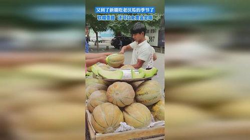 吃新疆的老汉瓜,舌尖上的新疆风情 第1张 吃新疆的老汉瓜,舌尖上的新疆风情 第1张