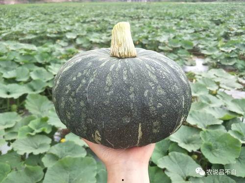 正在吃瓜的张张,张张边吃瓜边揭秘娱乐圈幕后故事 第2张 正在吃瓜的张张,张张边吃瓜边揭秘娱乐圈幕后故事 第2张