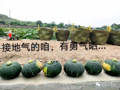 正在吃瓜的张张,张张边吃瓜边揭秘娱乐圈幕后故事 第3张 正在吃瓜的张张,张张边吃瓜边揭秘娱乐圈幕后故事 第3张