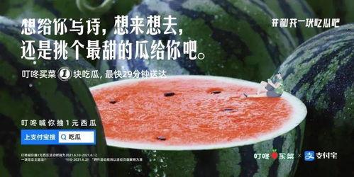 大学吃瓜文案  第1张