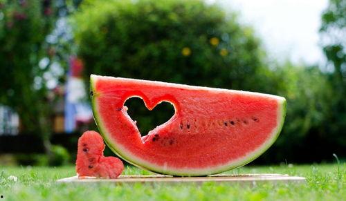 夏天吃瓜的诗句,夏日瓜香诗意浓