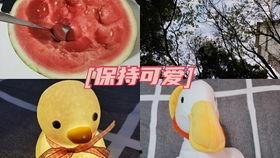 吃瓜女孩vlog,揭秘娱乐圈幕后故事