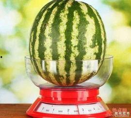 吃瓜围观民国,吃瓜围观那些年  第2张