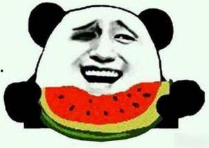 撩吃瓜群众,一场吃瓜群众的狂欢盛宴  第2张