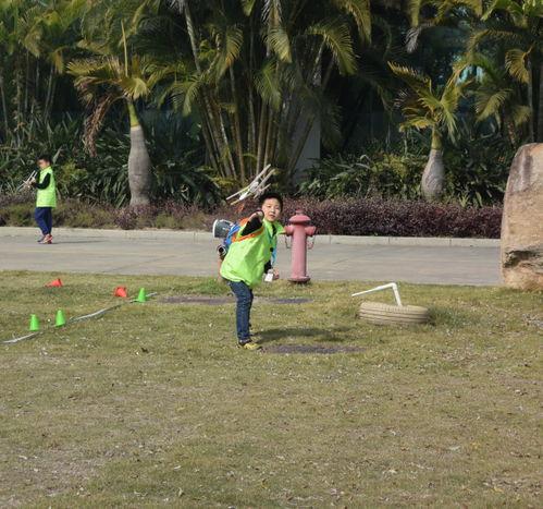 吃瓜群众种菜视频  第2张