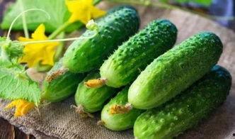 吃瓜水产美人,探寻水产美食与美丽人生  第3张