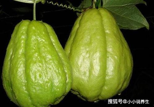 便秘吃佛手瓜好吗,天然食疗新选择