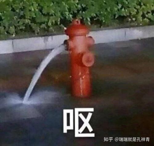 悟空吃瓜头像高清  第2张