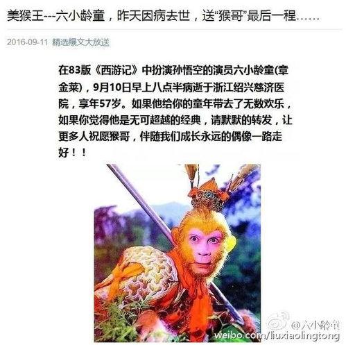 悟空吃瓜头像高清  第3张