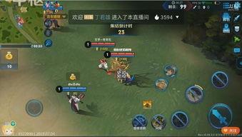 王者荣耀吃瓜模式,吃瓜模式揭秘，带你领略游戏新乐趣