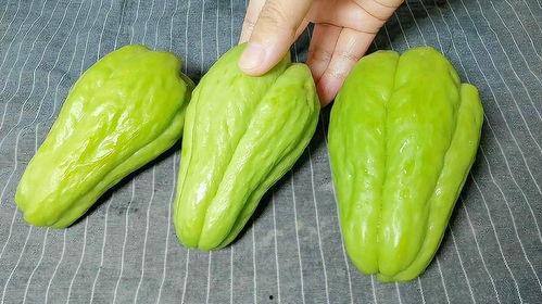 吃佛手瓜可以吃鱼吗