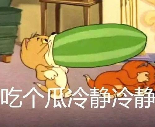 猫和老鼠吃瓜图片