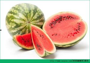 孕期可以吃犁头瓜吗,孕期适量食用犁头瓜有益健康