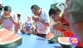 吃瓜比赛加油声,吃瓜比赛加油声此起彼伏