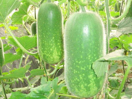 吃瓜任意门,揭秘娱乐圈那些不为人知的秘密