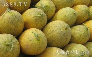 坐月子可以吃哈米瓜么,适宜还是禁忌？