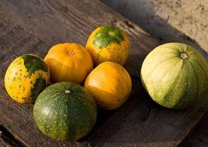 孩子吃西湖瓜好吗,孩子夏日健康美味的选择