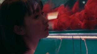 重度吃瓜少女,她眼中的娱乐圈风云变幻