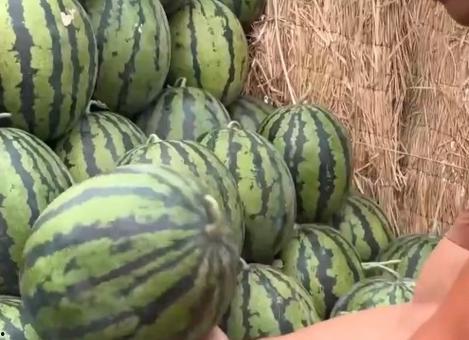 全网最新吃瓜集锦,盘点娱乐圈热点事件，揭秘幕后真相