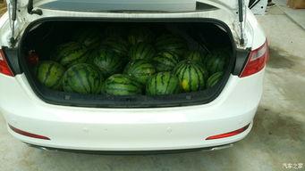 汽车博主吃瓜,博主带你领略幕后风云