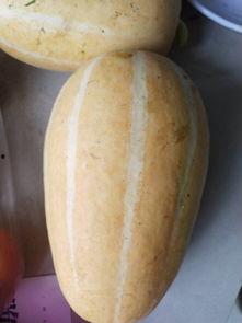 白色瓜炒菜吃的是什么瓜,探寻家常美味背后的瓜种之谜